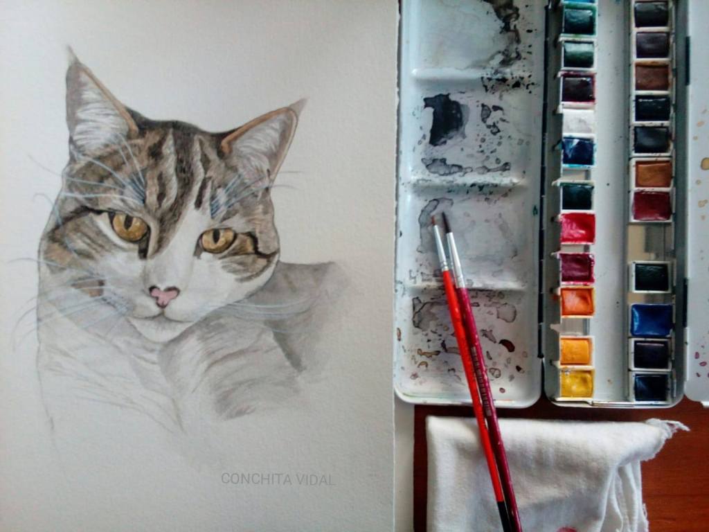 Gato toledano. Retrato&nbsp;mascota
